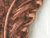 Copper Feather