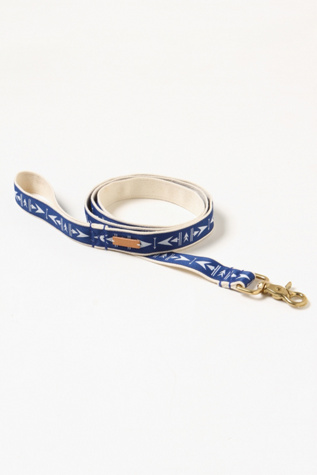 Arrowhead Leash in fp-pet-project