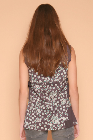 Brown Daisy